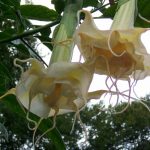 gallery_22_1178_150721