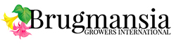 Brugmansia Growers International