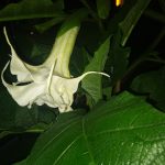 IMG_20230905_205637