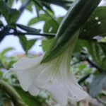 IMG20241020182524